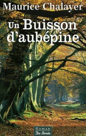 Un  buisson d'aubépine