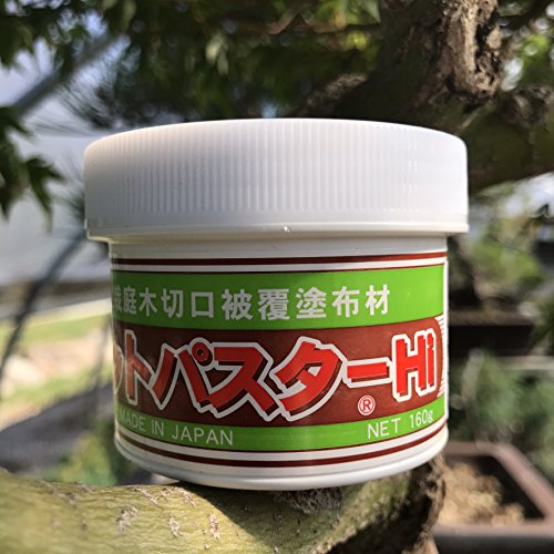 Japanischer Mastix, Heilpaste speziell für Bonsai-Laubbäume, 160 g – Bild 3