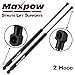 Partsam 2pcs Front Hood Gas Charged Lift Support Compatible With 2003 2004 2005 2006 2007 2008 2009 Sorento 6305