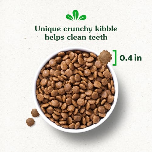 GREENIES SMART ESSENTIALS PUPPY HIGH PROTEIN DRY DOG FOOD REAL CHICKEN & BROWN RICE RECIPE, 5.5 LB. BAG
