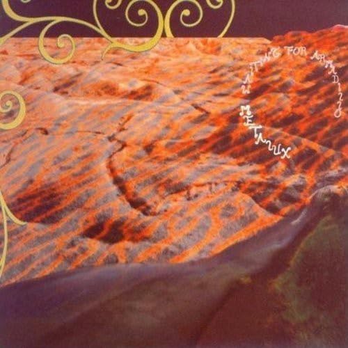 Waiting For Armadillo