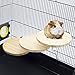 GNB PET 3 Pack Wooden Round Parrot Station Board Wood Platform Stand Rack Suit for Hamster Gerbils