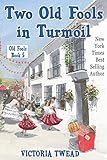 Two Old Fools in Turmoil by Victoria Twead