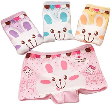 Finecase Girls Underwear Cartoon Panties Briefs (S(2-4 Years), LQML-001)