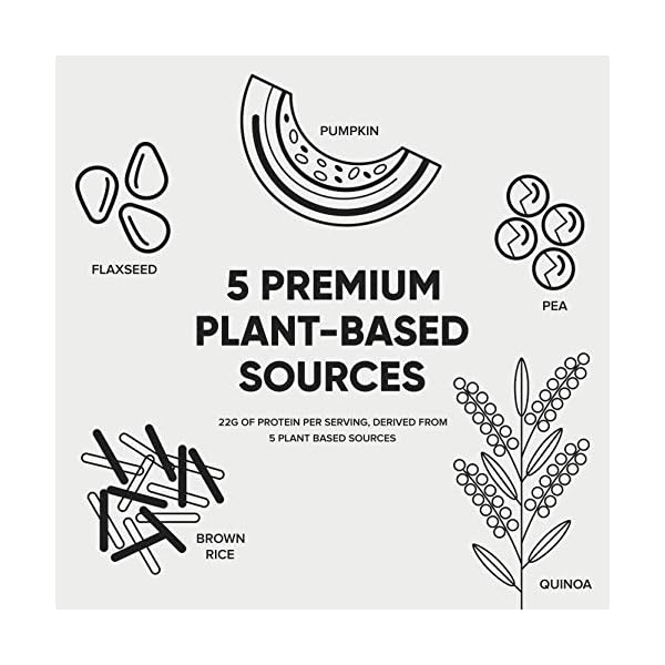 Bulk-Vegan-Protein-Powder-Vanilla-1-kg-Packaging-May-Vary Bulk Vegan Protein Powder, Vanilla, 1 kg, Packaging May Vary