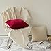 MIULEE Pack of 2 Velvet Soft Solid Decorative Square Throw Pillow Covers Christmas Cushion Cases Pillowcases for Sofa Bedroom Couch Car,18x18 Inch Wine Red