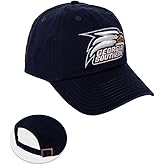 Desert Cactus Georgia Southern University Baseball Hat GSU Eagles Brimmed Embroidered Cap Adjustable Cloth Strap Adult (Style A) Blue