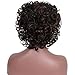 Wigs for Black Women Short Curly Wigs with Bangs Full Wig Black and Brown Kinky Curls Wig 13.7 Inch with Wig Cap By Mildiso M034