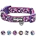 Blueberry Pet Soft & Comfy Rose Print Plum Purple Padded Adjustable Dog Collar, Large, Neck 18
