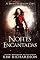 Livro Noites Encantadas (As Bruxas de Hollow Cove Livro 3)