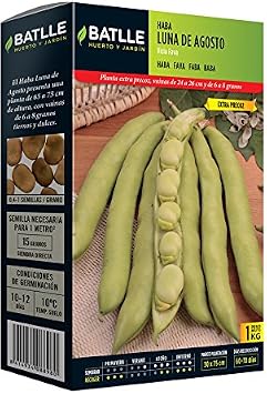 Semillas Leguminosas - Haba Luna de Agosto 250g - Batlle: Amazon ...