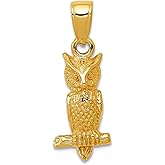 JewelryWeb 14k Yellow Gold Solid Textured Polished 3-d Owl Pendant Necklace 20x8mm Wide Pendant for Women