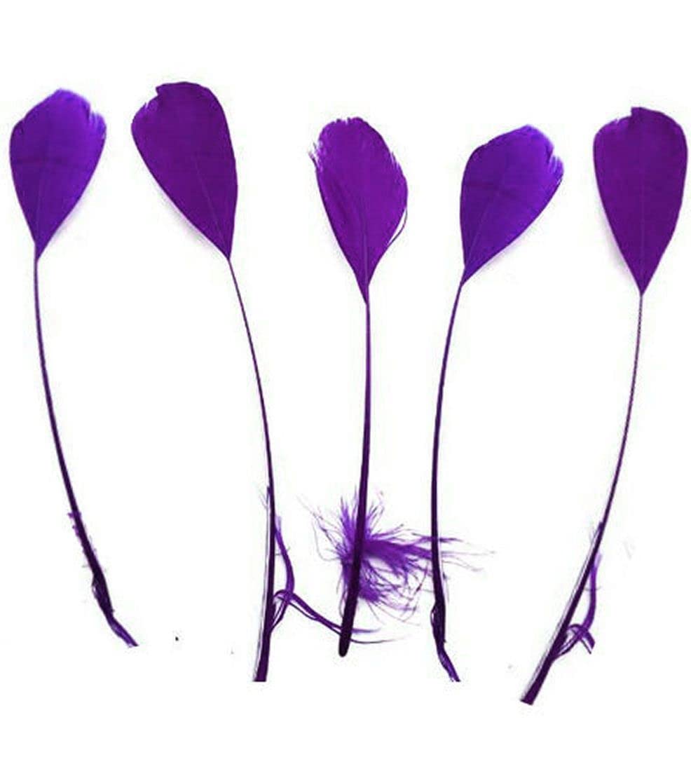 Gregory Crafts & Gifts Purple Stripped Coque Style Feathers - Fascinators, weddings - 6 inches approx by GC x 5