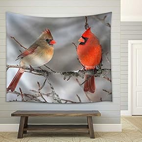 Pair of Northern Cardinal (Cardinalis Cardinalis) in a Tree - Fabric Wall Tapestry Home Decor - 51x60 inches