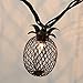 LIDORE Pineapple Lantern String Lights Best for Indoor/Outdoor Decoration Set of 10 Warm White Mini Light.