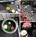 PIXHOTUL 10 Pcs Artificial Floating Pond Decoration Water Floating Lotus Flowers and Lotus Leaves for Pond Decor (7