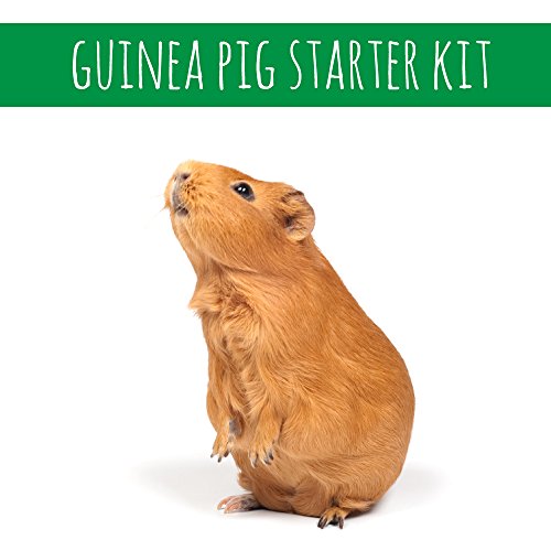 Small Pet Select Food and Toy Starter Kit