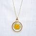 Sunflower Sunshine Daisy Real Pressed Flower Pendant 18k Gold Plated Necklace for Women Handmade