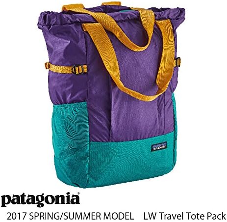 patagonia lightweight travel backpack