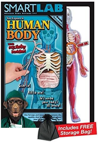 Smart Lab Squishy Human Body with Free Storage Bag