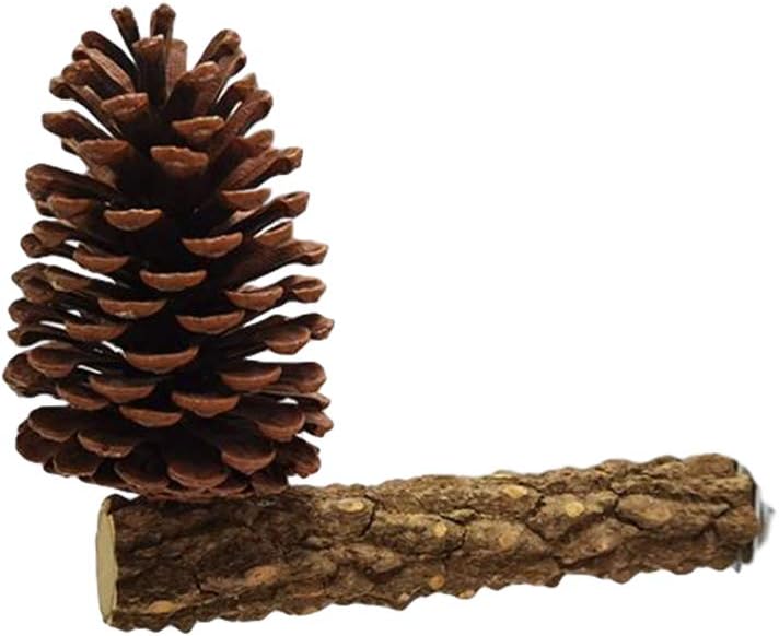 YANGWX 2PCS Natural Wood Bird Parrot Perch Stand Toys, Paw Grinding Stick Parrot Stand Wood Perches and Bird Parrot Chewing(Pine cones), Bird Stand Platform Toys for Small Parakeets, Finches, Budgie - Image 3
