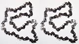 Homelite UT-43160/30254EG Ryobi RY43160 Pole Saw (2 Pack) Replacement Chain # 901289001-2pk
