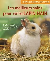Les  meilleurs soins pour votre lapin nain