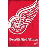 Detroit Red Wings Logo NHL Sports Poster