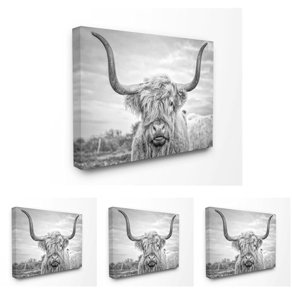 Stupell Industries Black and White Highland Cow Photograph Canvas Wall Art Design By Joe Reynolds 16 x 20 (Pack of 4) Image