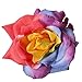 Kewl Fashion Women's Bohemia Rose Flowers Hairpin Hair Clip Flower Brooch