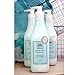 Good Home Co. Hand Lotion, Beach Days, 12 oz