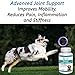 BestLife4Pets Dog Glucosamine Chondroitin and Turmeric Joint Pain Relief Supplement (60 Chews)