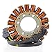 RaceTech Electric Replacement for Generator Stator Honda CBR 600 F4 F4i CBR600F4 2001-2006 | OEM Repl.# 31120-MBW-J21