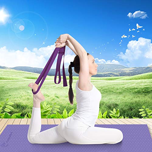 FrenzyBird Eco-Friendly,Reversible,Non-Slip,Double-Sided TPE Yoga Mat with Stretch Strap,Carry Strap and Mat Bag, Free of PVC and Other Harmful Chemicals, Extra-Thick,Ideal for Yogis - Thumbnail 6