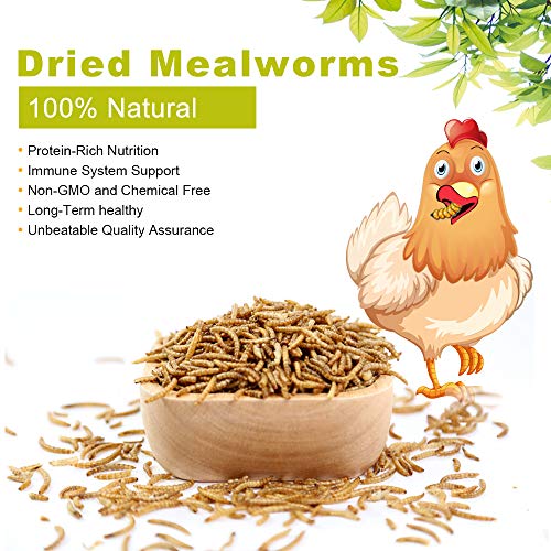 LuckyQworms 20lbs Mealworms, HighProtein Dried Mealworms for Birds