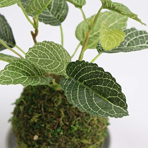 Amazon Ct触媒 盆栽 苔玉 フェイクグリーン 観葉植物 消臭 抗菌 防汚 おしゃれ 和盆栽 和風 インテリア 卓上 人工観葉植物 オンライン通販