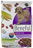 Beneful Playful Life Dry Dog Food - Real Beef & Egg - 15.5 lb