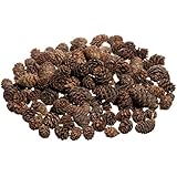 Pine Cones | Small Pine Cones | Mini Black Spruce Pine Cones | Pine Cone Filler (8 oz) | Plus Free Nautical Ebook by Joseph Rains