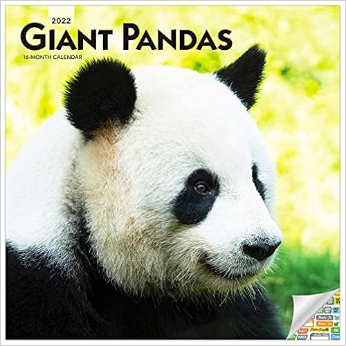 Giant Pandas Calendar 2022 -- Deluxe 