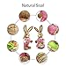 Soobuy Easter Bunny Decorations, 13