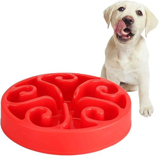 Say Goodbye to Boredom The 10 Best Puppy Puzzle Feeders to Keep Your