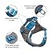 Kurgo Journey Air Dog Harness, Vest Harnesses for Dogs, Pet Hiking Harness for Running & Walking, Reflective, Padded, Includes Control Handle, No Pull Front Clip (Blue, Medium)