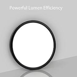 TALOYA Dimmable Flush Mount Ceiling