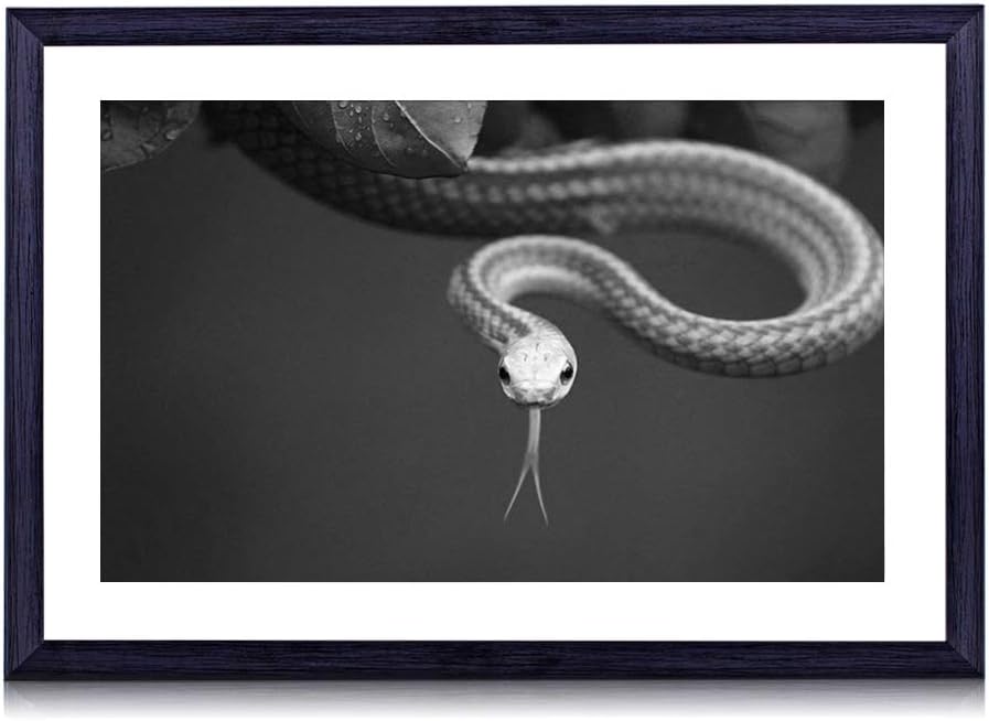 Amazon Co Jp ヘビ 動物 白黒の絵画 装飾画 壁飾り アートパネル インテリアアート 木製の枠 壁ポスター モダン 現代壁の絵 額縁付きの完成品 横 30 40cm ホーム キッチン