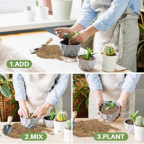 Organic Vermiculite 14.6 oz - Fine 1-3mm Granules for Gardening, Professional Soil Amendment, Ideal for Potted Plants and Horticulture, Bulk Pack (14.6Oz)