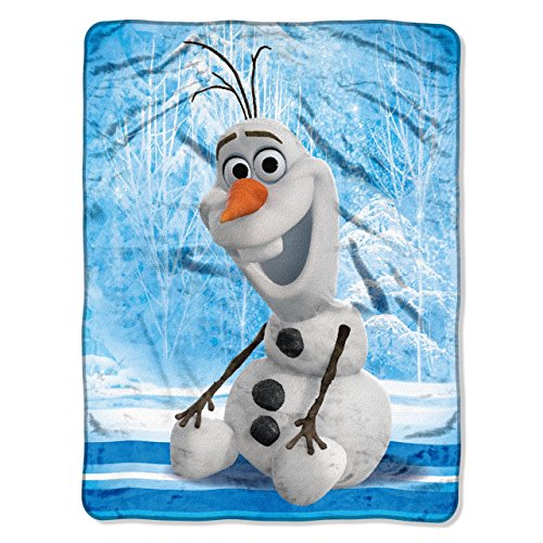 Northwest Frozen Micro Raschel Throw Blanket, 46" x 60", Chills and Thrills