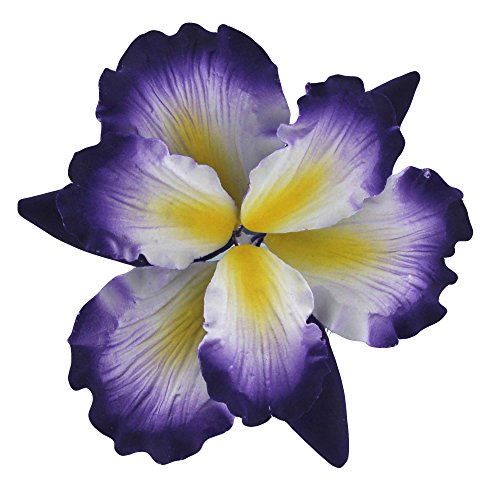 Dutch Iris, Purple with Yellow Center, 1 Count by Chef Alan Tetreault