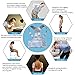 Thoracic Back Brace Posture Corrector- Magnetic Lumbar Back Support Belt-Back Pain Relief, Improve Thoracic Kyphosis, for Lower and Upper Back Pain Men & Women (White, Medium)
