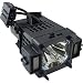 Amazing Lamps XL-5300 Replacement Lamp in Housing for Sony Televisions