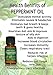 Peppermint Essential Oil 100% Pure Organic & Therapeutic Grade, Used in Aromatherapy -10 Ml Mentha Arvensis